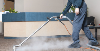 Vacuum Carpets and Floors to Remove Scabies Mites