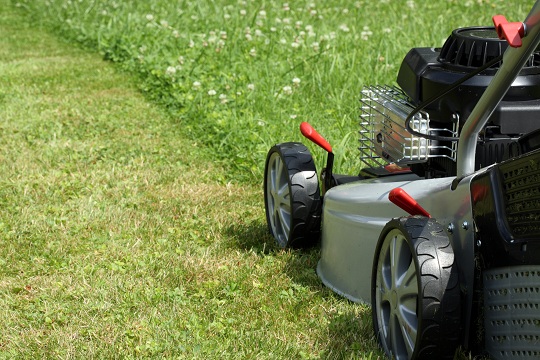 Mowing the lawn to get rid of chiggers